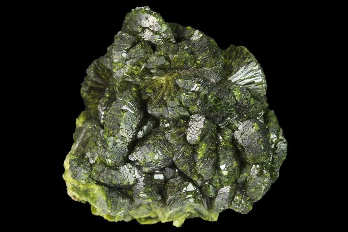 Lustrous Epidote Crystal Cluster - Morocco #142705